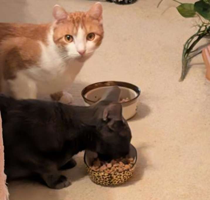 Photo of Freddie FOSTER