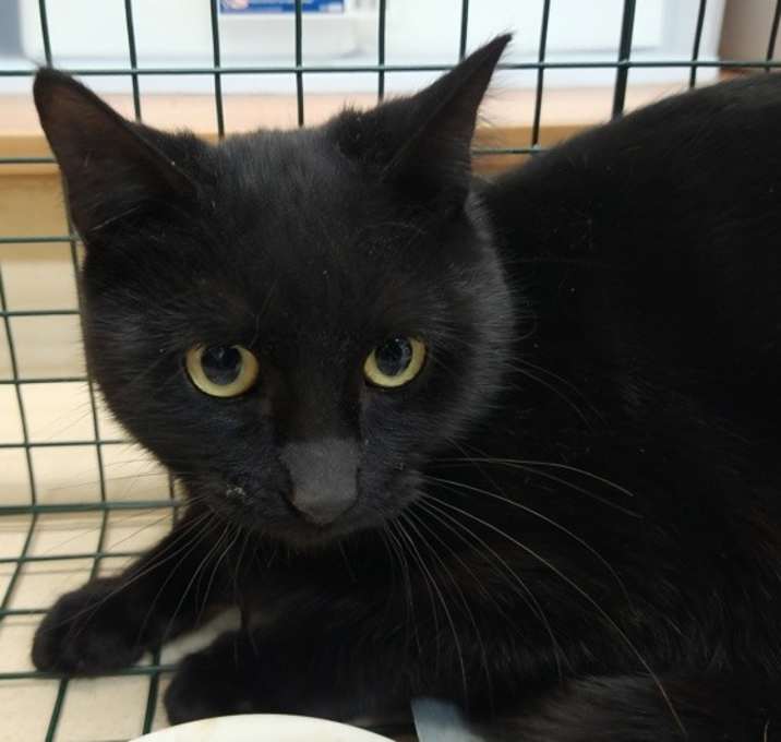 Photo of Bridget 45500