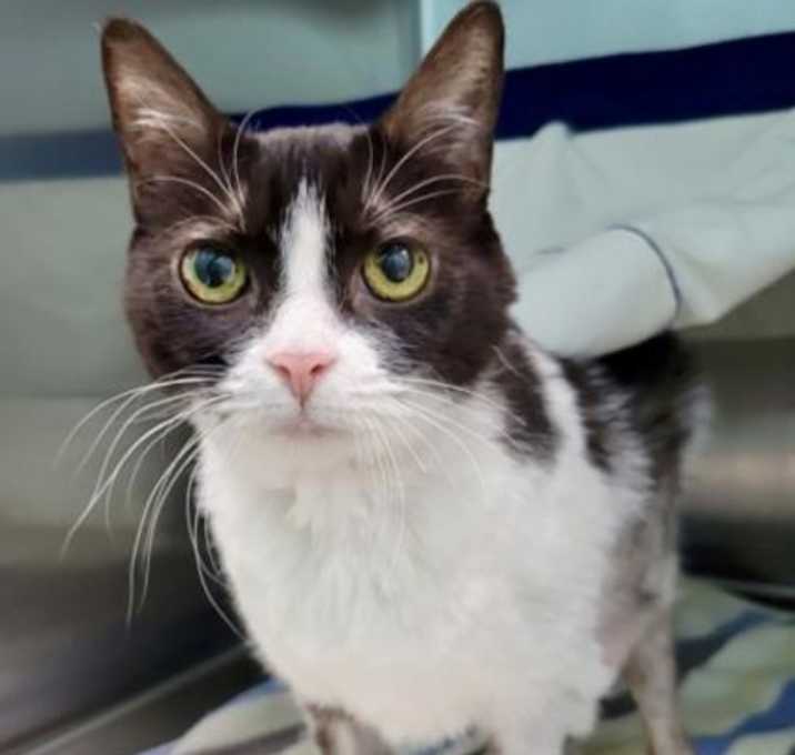 Photo of Black Cherry Merlot