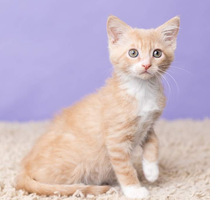 Photo of Prince Charming