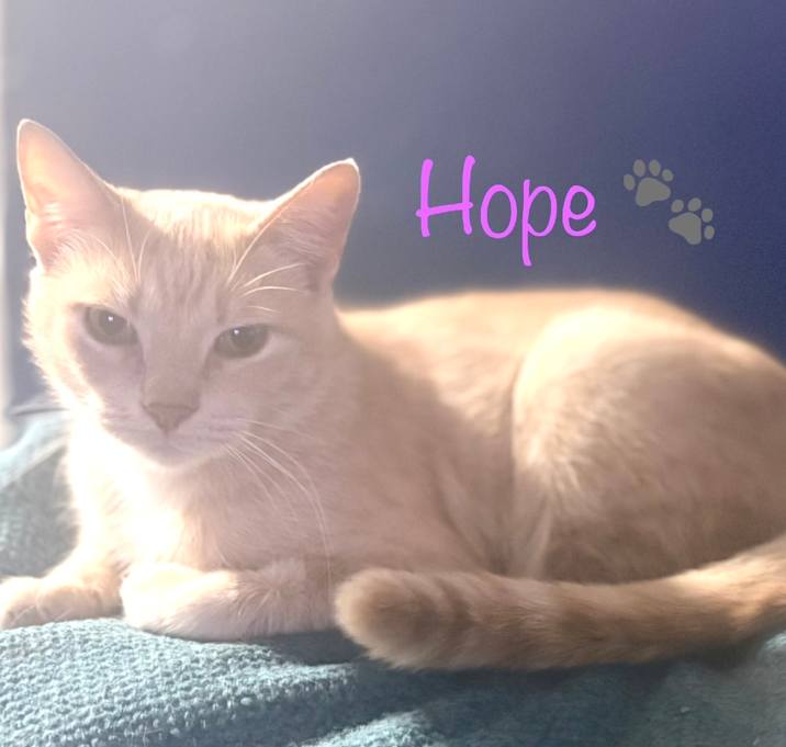 Photo of Hope (Mom) BDL