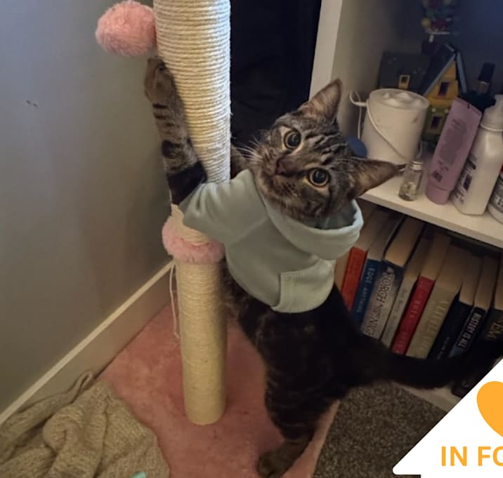 Photo of Calamity Jane