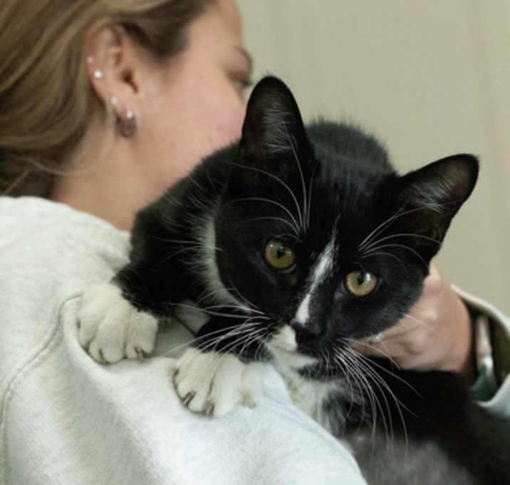 Photo of Gimmie Smore