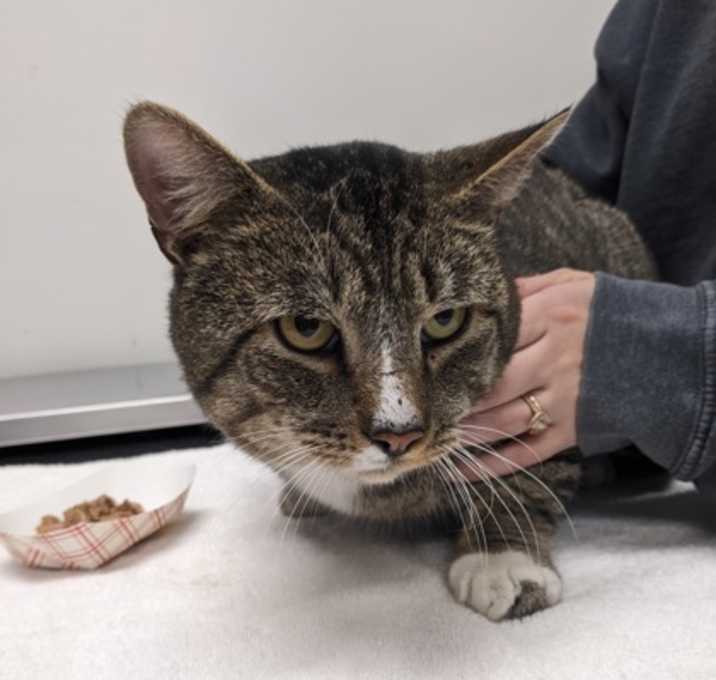 Photo of Kris Kringle