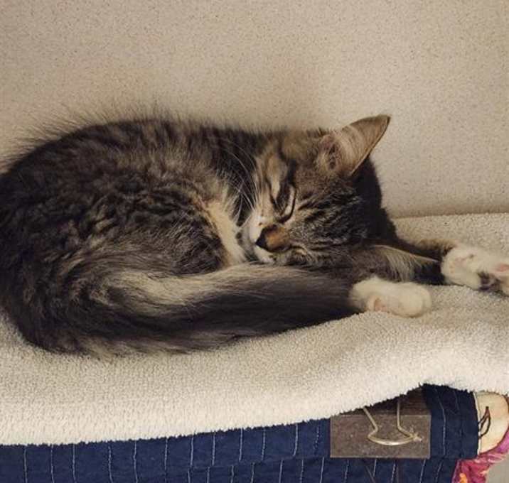 Photo of CLARK ISLAND