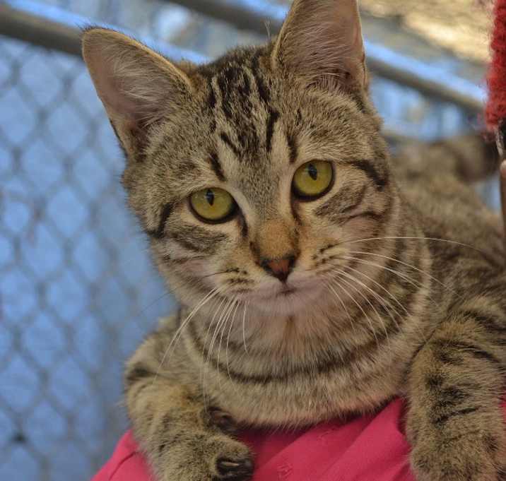 Photo of Leo (formerly Capri Sun)