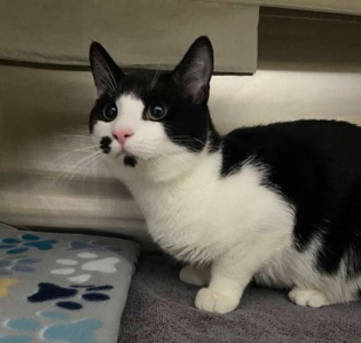 Photo of Peppermint Patty