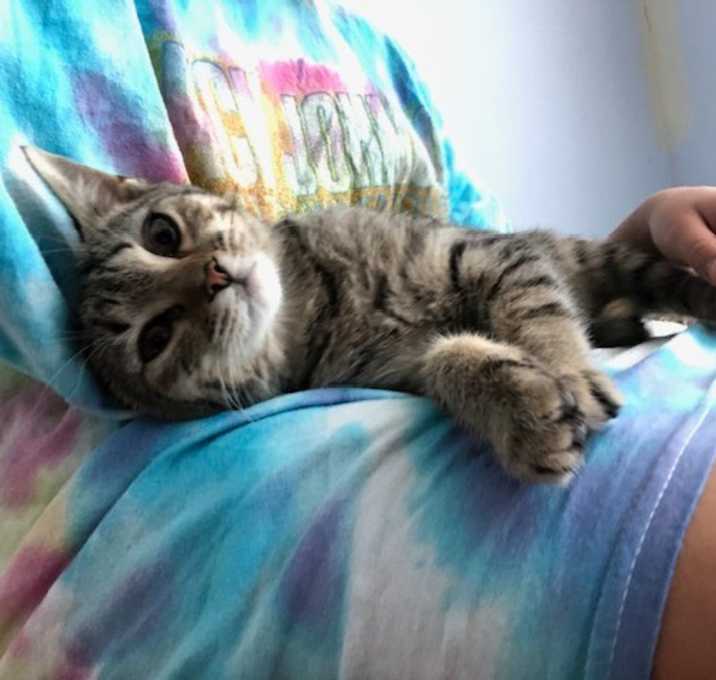 Photo of Gigi -- Courtesy Post