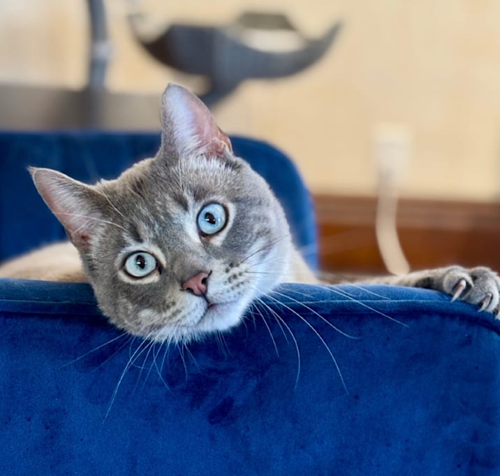 Photo of Banksy (FKA Izzo)