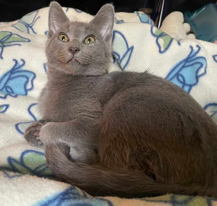 Photo of Pumpkin Spice