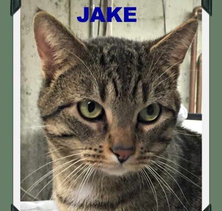 Photo of Jake