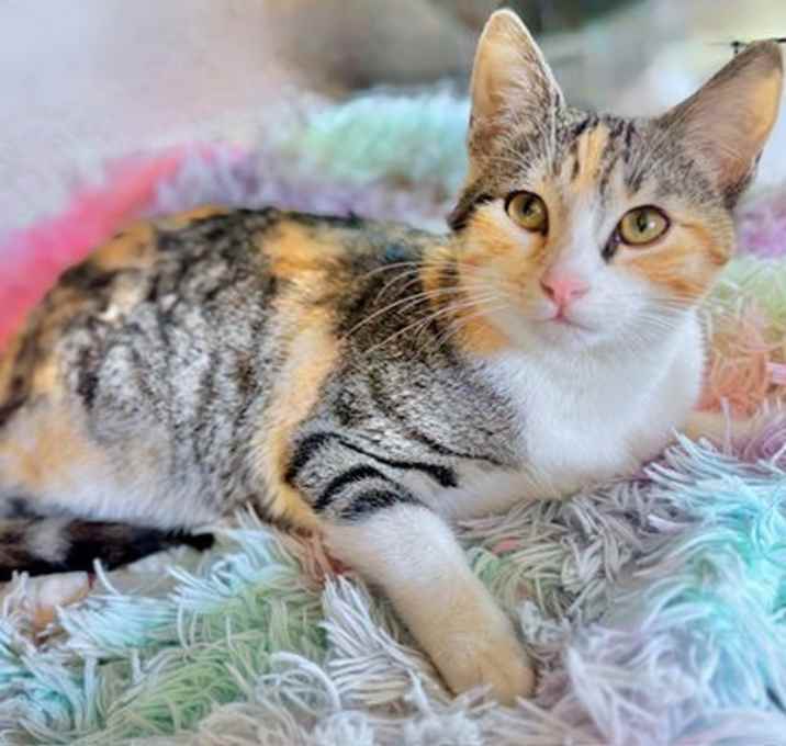 Photo of Eleven - lil girl will fill your heart with love