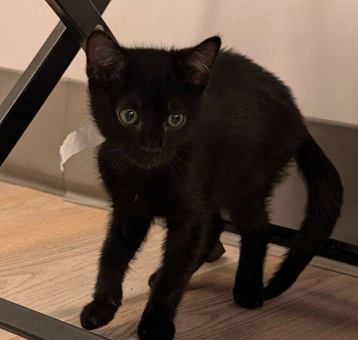 Photo of Humphrey- City of Industry 