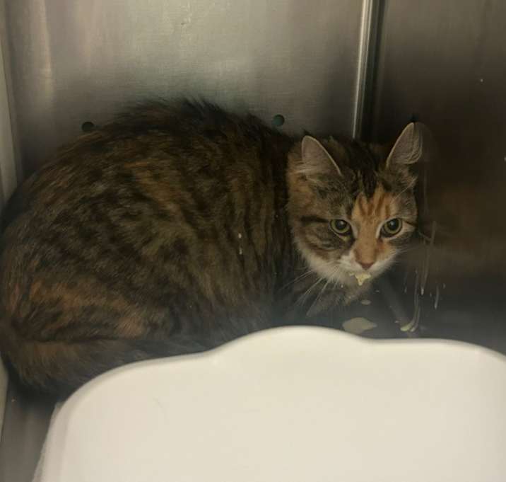 Photo of Mariah Carey