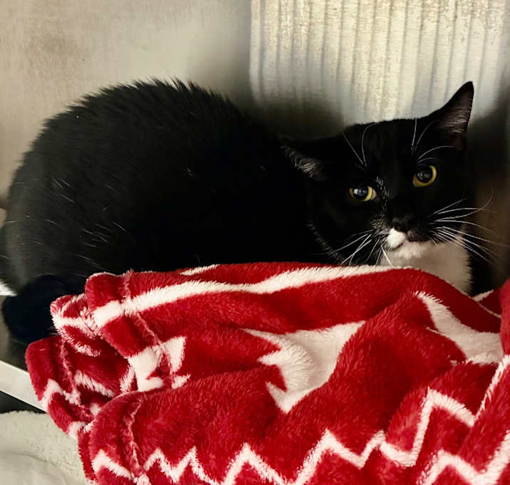 Photo of Zach / Kian