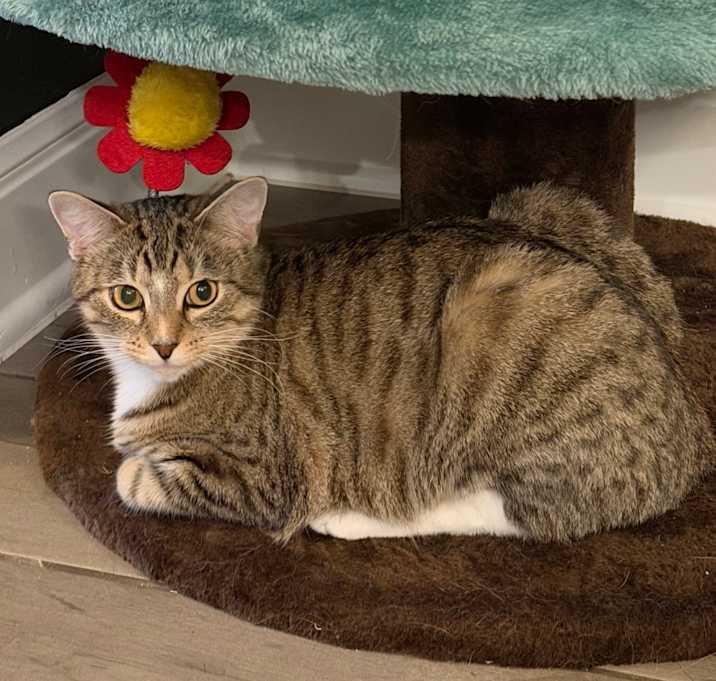 Photo of Noodle Kadoodle