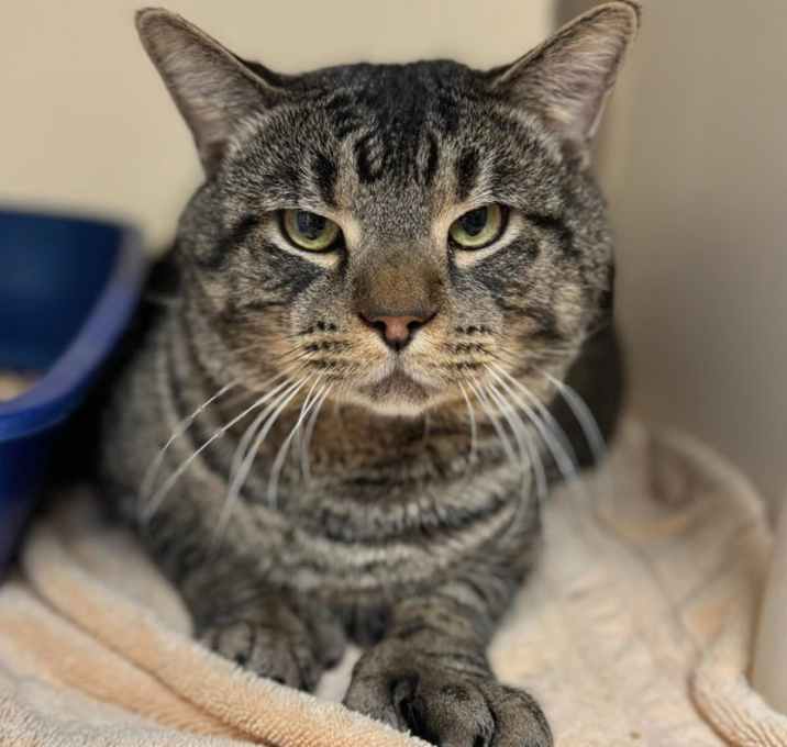 Photo of Santa Claus