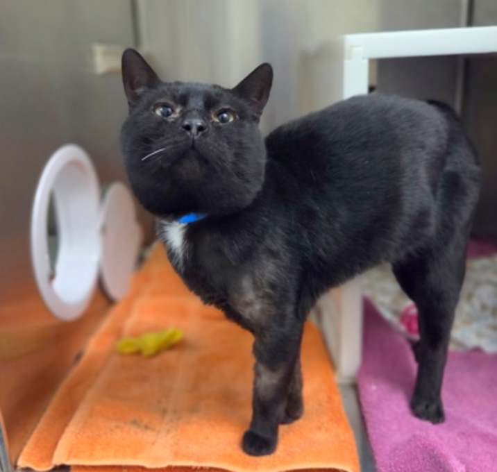 Photo of George Bailey