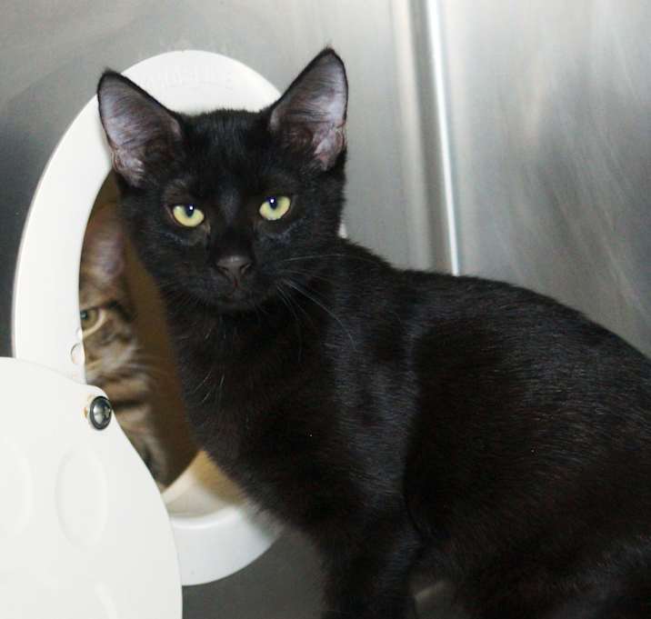 Photo of Lil Habanero 