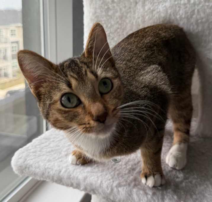 Photo of Jelly of the Month Club