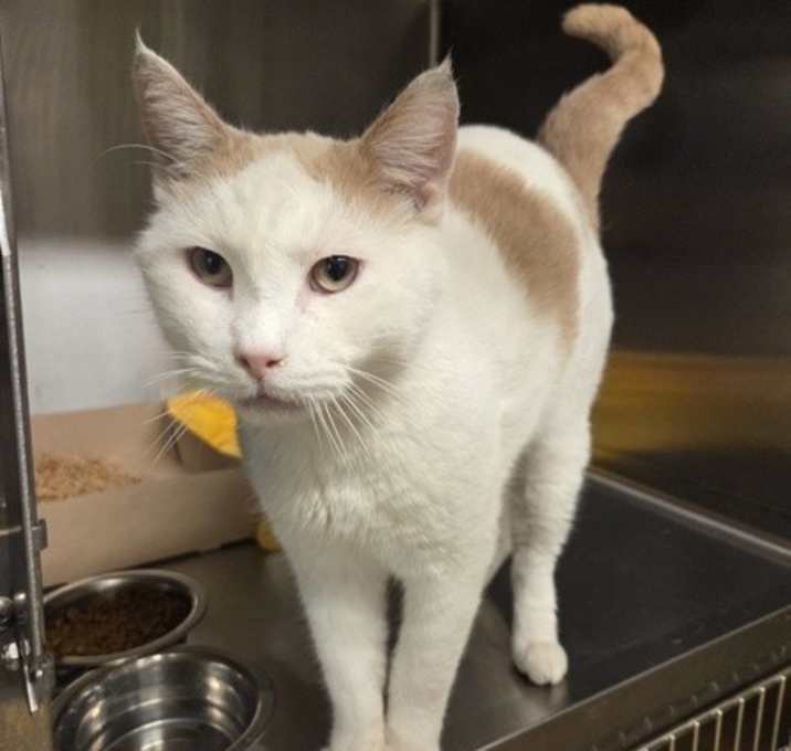 Photo of Jonathan 45605