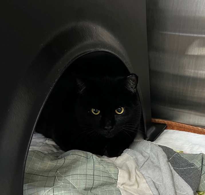 Photo of Grease Lightning