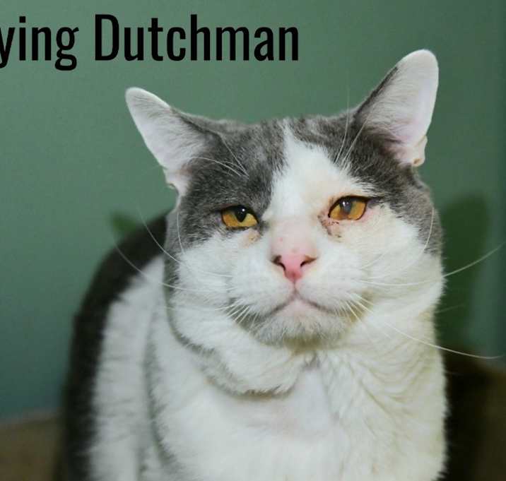 Photo of Flying Dutchman