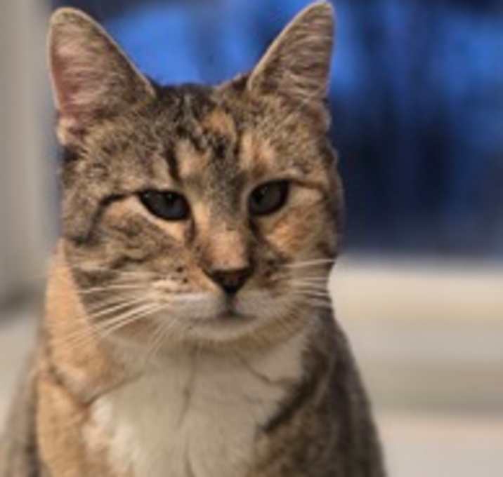 Photo of Miss Claire