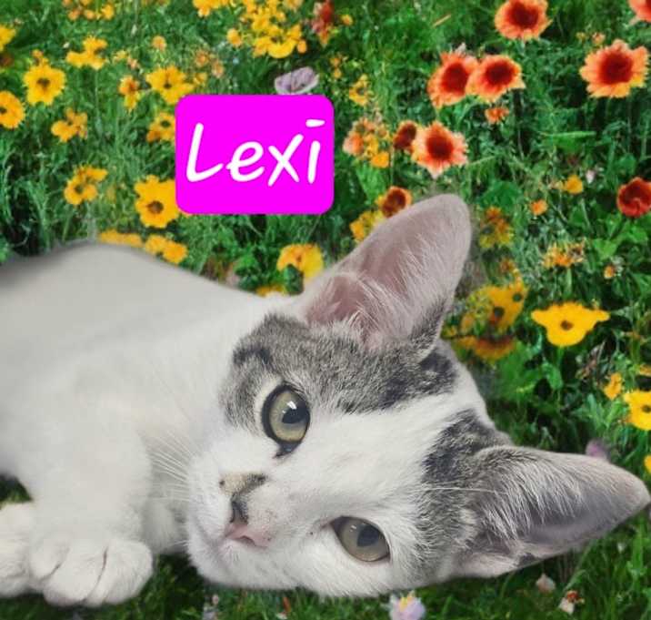 Photo of Lexi