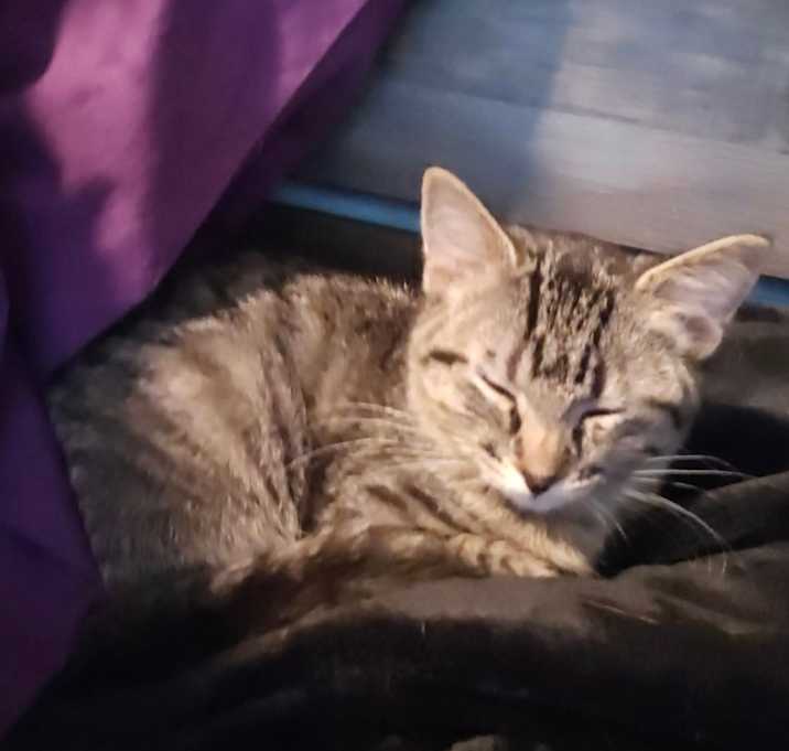 Photo of Mabel (BOX1)