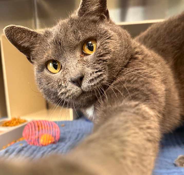 Photo of Martha Mets 