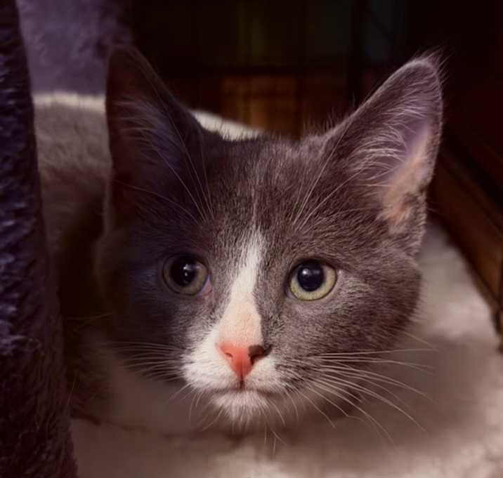 Photo of Ruby Tuesday