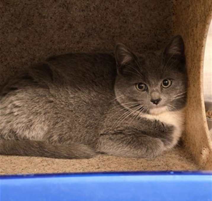 Photo of GARDEN-FROSTY