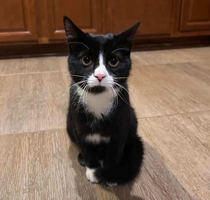 Photo of King Beans III