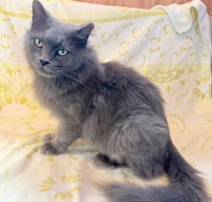 Photo of Ashtyn C25-352