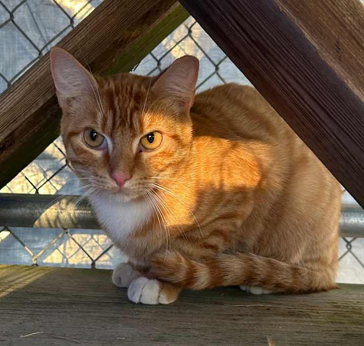 Photo of (WC) Tabasco 