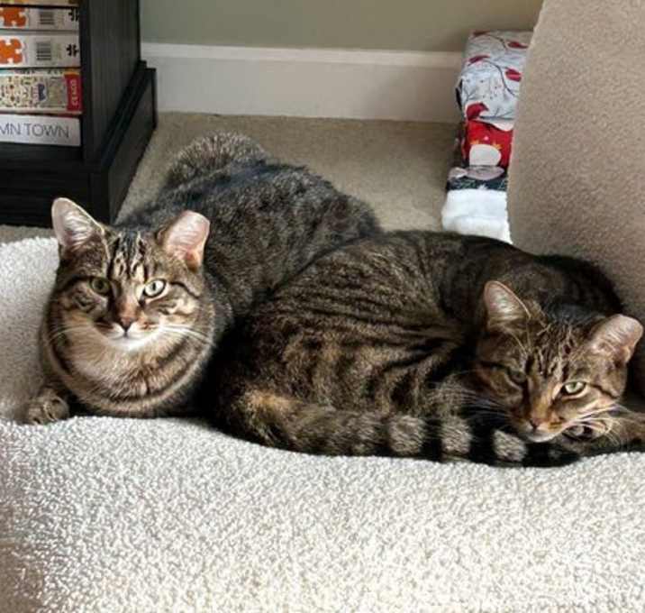 Photo of Henry and Toto