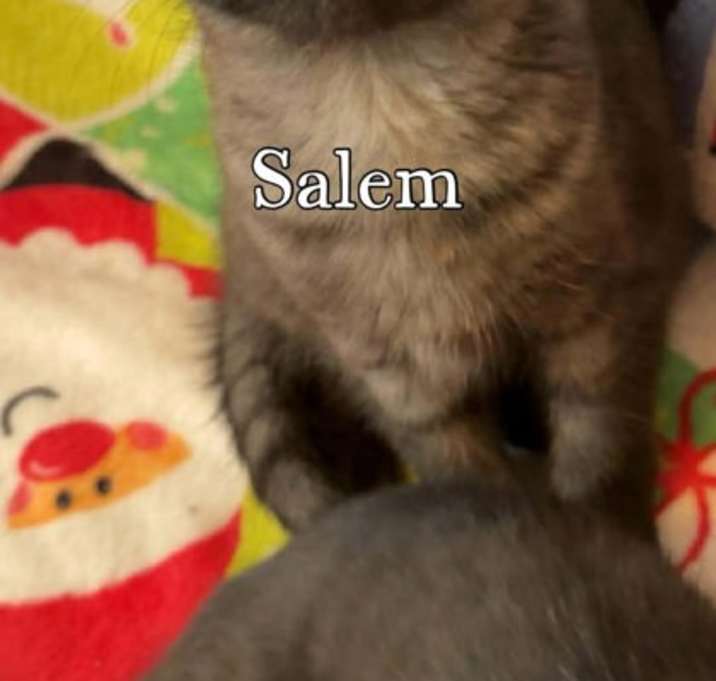 Photo of Salem