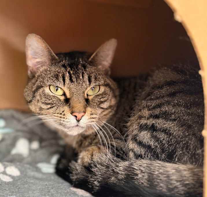 Photo of Peppermint Mocha