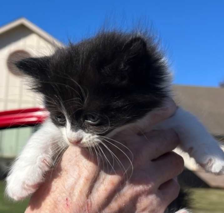 Photo of Margo 1794-25