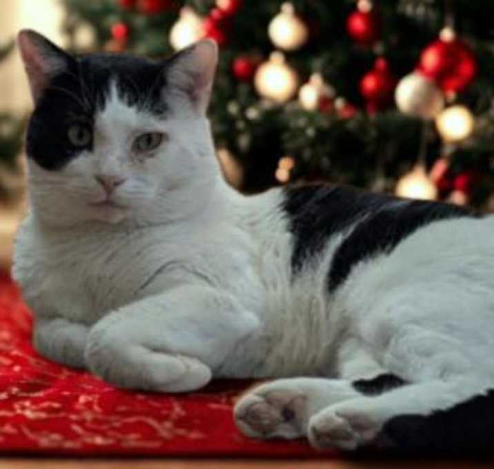 Photo of Slurms MacKenzie