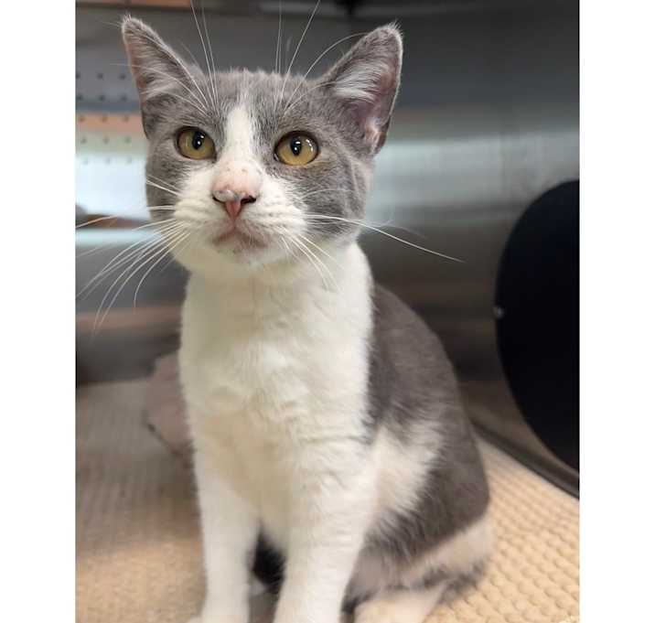 Photo of Wonder Wally