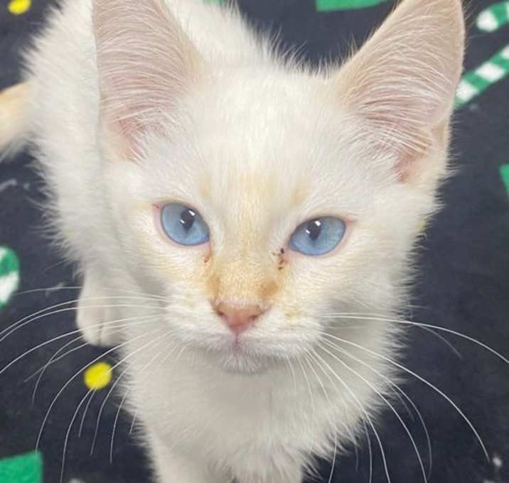 Photo of 25-39 Merida