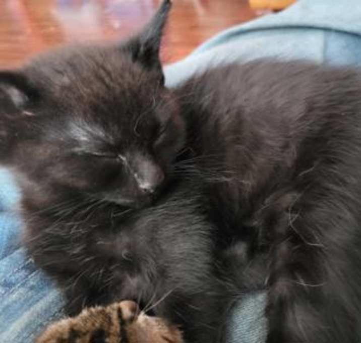 Photo of Coco Dip Zoomz