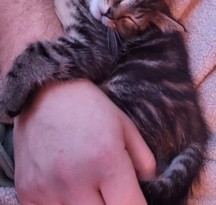 Photo of Jelly Zoomz