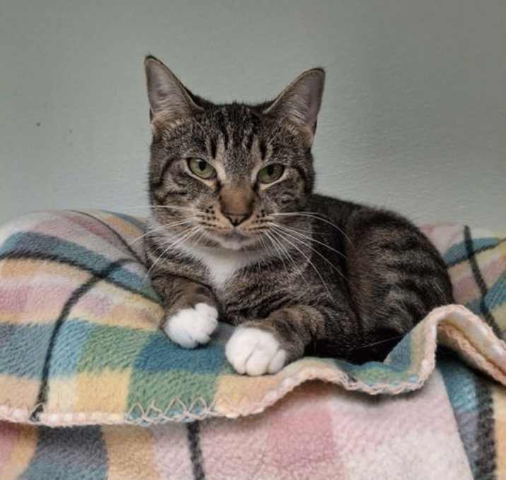 Photo of Isabel AND Gigi