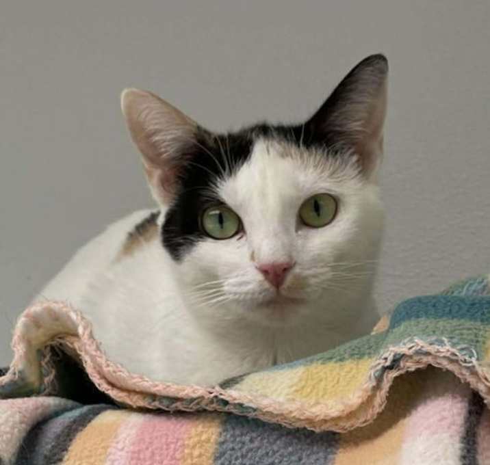 Photo of Gigi AND Isabel