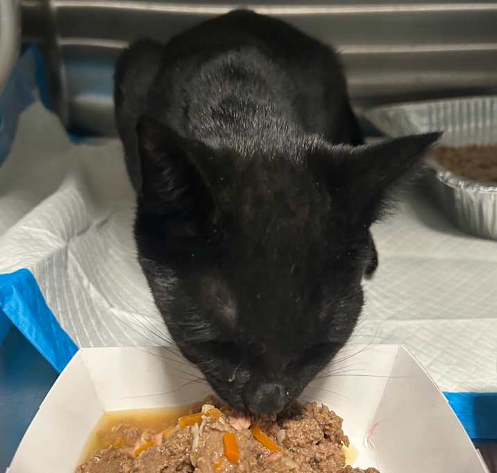 Photo of Mediterranean Sea