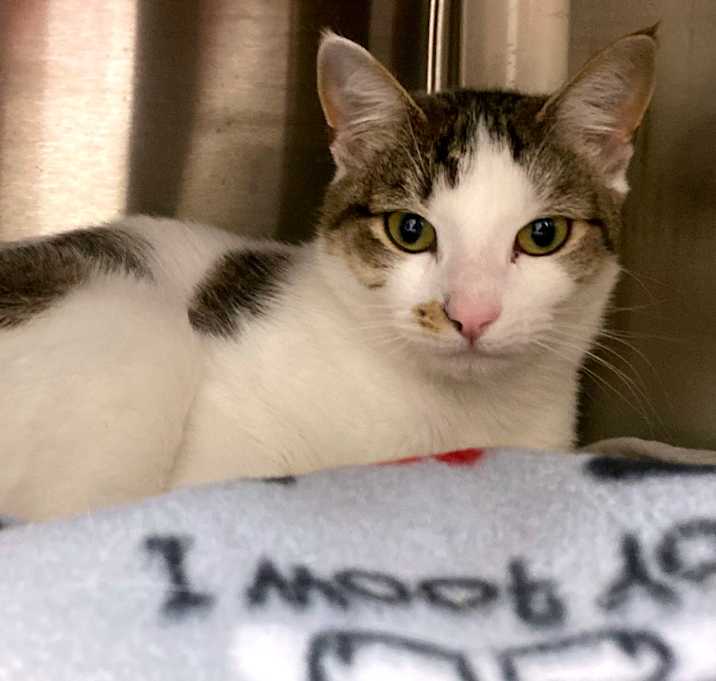 Photo of Eggnog Latte