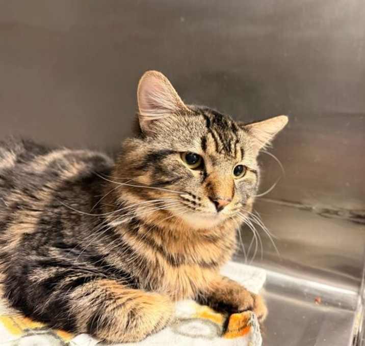 Photo of Christian Dior